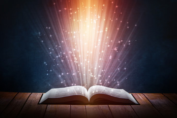 复旦大学2+2国际本科/复旦中外合作办学本科