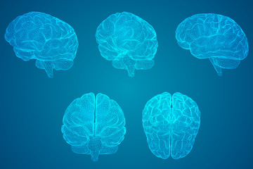 安徽往届高考成绩查询入口/如何查安徽历年高考位次