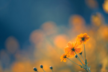 复旦大学2+2国际本科/复旦中外合作办学本科