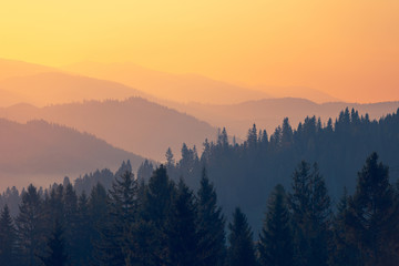 四级一般人能考多少分（四级一般人能考多少分啊）