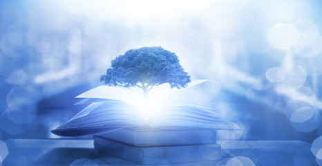 资产评估师（资产评估师含金量高吗）