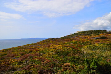 资产评估师（资产评估师含金量高吗）