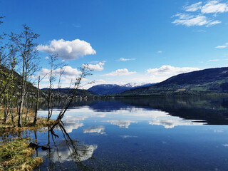 四级一般人能考多少分（四级一般人能考多少分啊）