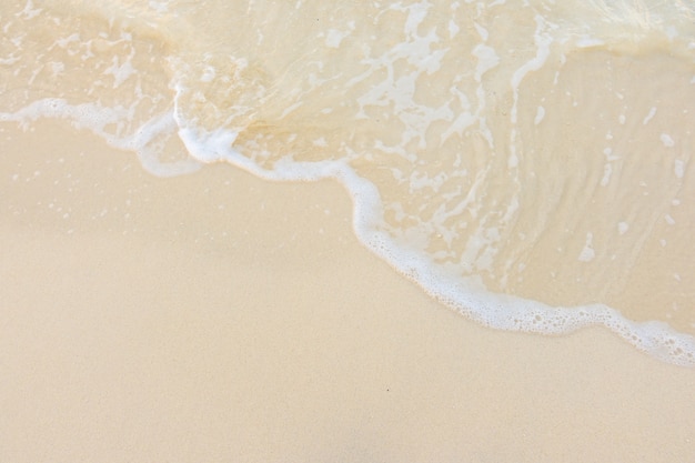 【广东财经职业学院是大专吗,广东财经职业技术学院怎么样】