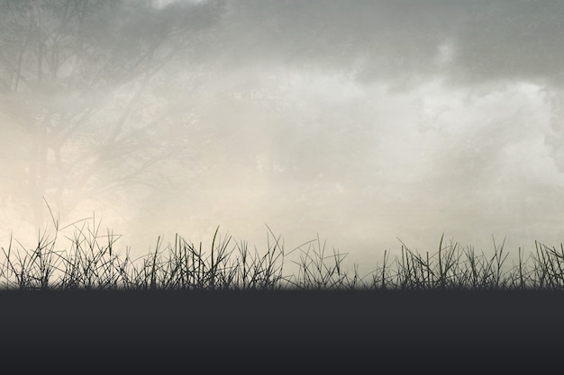 全国211大学排名表（全国211大学排名表及分数线）