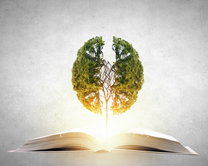 学信网查个人学历（学信网查个人学历免费）