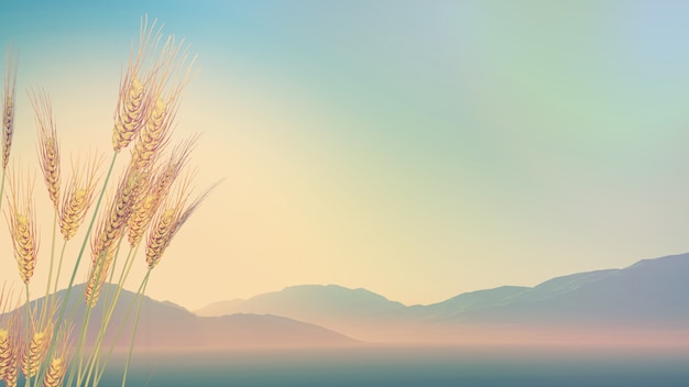 初级会计报名官网入口2025（初级会计报名官网入口2025年）