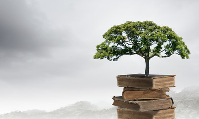 【2015高考一分一段表查询,2015年一分一段分数表】