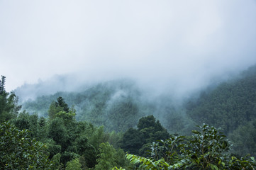 【香港的大学排名,香港的大学排名为什么那么高】